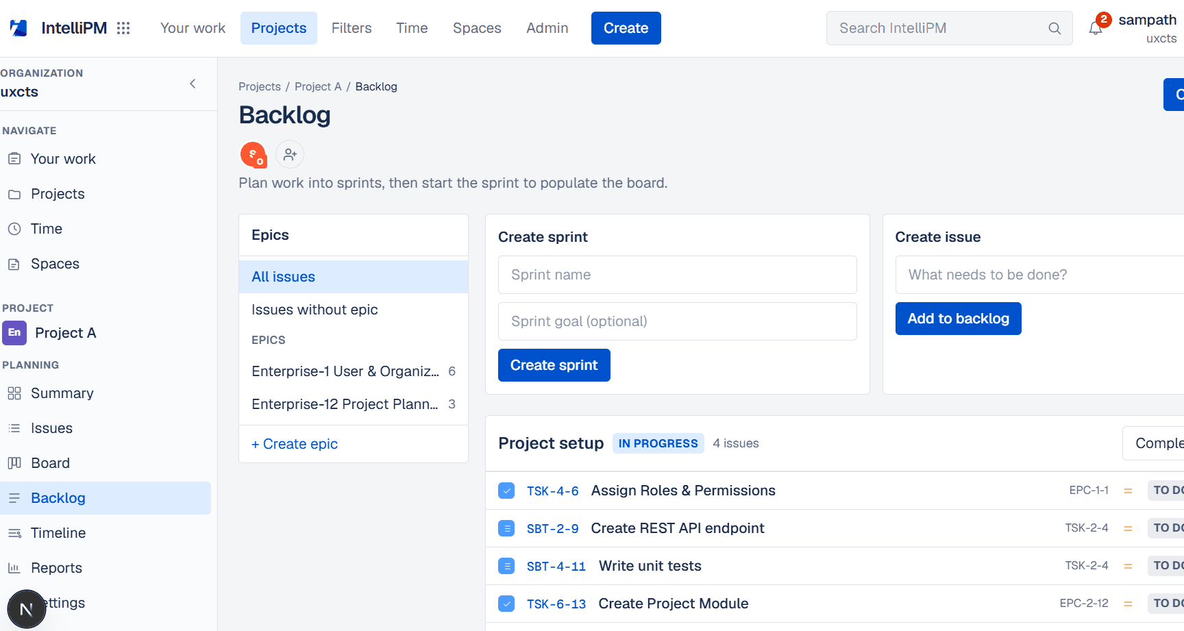 IntelliPM issue and project detail